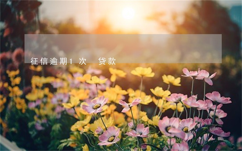 征信逾期1次 贷款 征信逾期1次 贷款